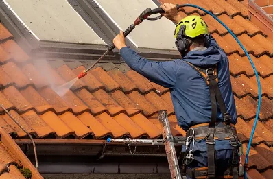 Démoussage et hydrofuge de toiture à Mérifons